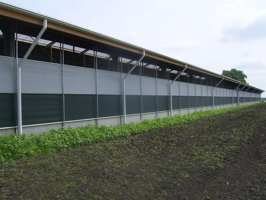 Overige veestallen - Koeien